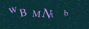 Validation image