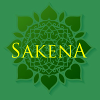 Page Header Logo
